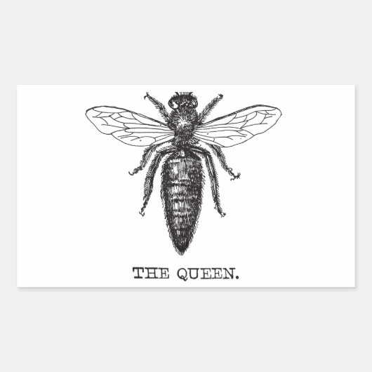 Sticker Rectangulaire Dessin classique de l'illustration de Queen Bee (Devant)