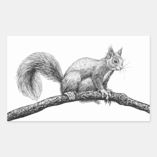Sticker Rectangulaire Dessin d'écureuil (Devant)