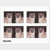 Sticker Rectangulaire Deux chats siamois (Feuille)