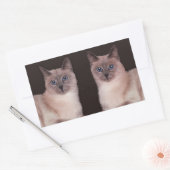 Sticker Rectangulaire Deux chats siamois (Enveloppe)