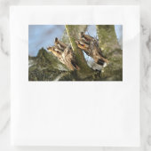 Sticker Rectangulaire Deux Chouettes dans les Bois, oiseaux, faune Recta (Sac)