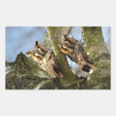 Sticker Rectangulaire Deux Chouettes dans les Bois, oiseaux, faune Recta (Devant)