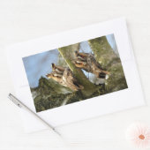 Sticker Rectangulaire Deux Chouettes dans les Bois, oiseaux, faune Recta (Enveloppe)