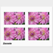 Sticker Rectangulaire Deux fleurs dahlia roses (Feuille)