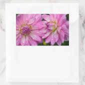 Sticker Rectangulaire Deux fleurs dahlia roses (Sac)