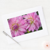Sticker Rectangulaire Deux fleurs dahlia roses (Enveloppe)