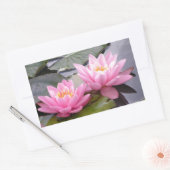 Sticker Rectangulaire Deux nénuphars roses sauvages dans un étang (Enveloppe)