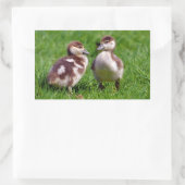 Sticker Rectangulaire Deux poussins d'oies égyptiennes (Sac)