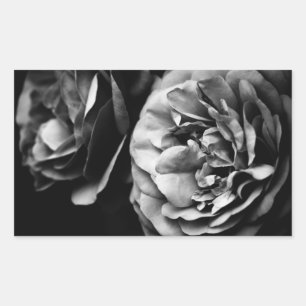Sticker Rectangulaire deux roses