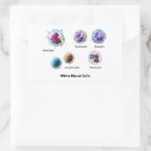 Sticker Rectangulaire Diagramme des cellules de sang blanc Leukocytes (Sac)
