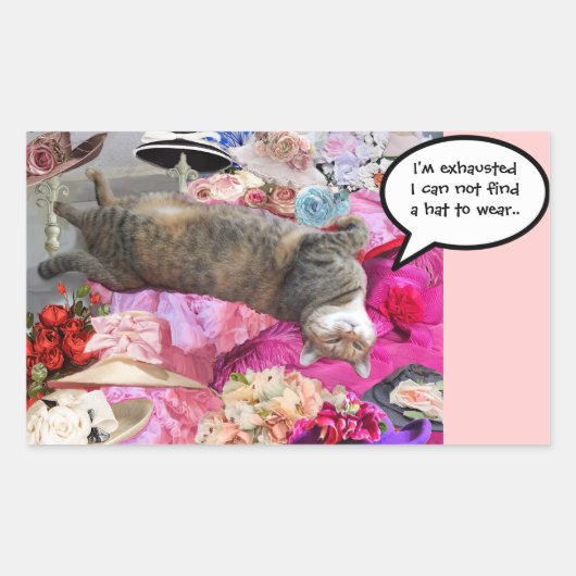 Sticker Rectangulaire Dilemme de Princess Tatus Cat (Devant)