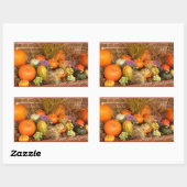 Sticker Rectangulaire Divers citrouilles (Feuille)