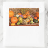 Sticker Rectangulaire Divers citrouilles (Sac)