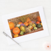 Sticker Rectangulaire Divers citrouilles (Enveloppe)