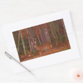 Sticker Rectangulaire Doe a Deer in Lake Arrowhead (Enveloppe)