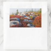 Sticker Rectangulaire Dolly Sods Wilderness Tombe Pittoresque Avec Fog (Sac)