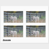 Sticker Rectangulaire Donkey dans un champ d'automne (Feuille)