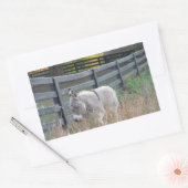 Sticker Rectangulaire Donkey dans un champ d'automne (Enveloppe)