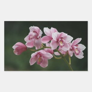 sticker rectangulaire d'orchidée rose profonde