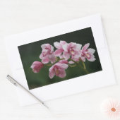 sticker rectangulaire d'orchidée rose profonde (Enveloppe)