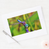 Sticker Rectangulaire Dragonfly (Enveloppe)