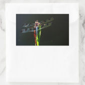 Sticker Rectangulaire Dragonfly bleu et noir sur gazon vert et rouge (Sac)