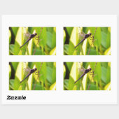 Sticker Rectangulaire Dragonfly Blue et noir sur l'herbe. (Feuille)
