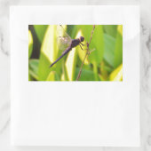 Sticker Rectangulaire Dragonfly Blue et noir sur l'herbe. (Sac)