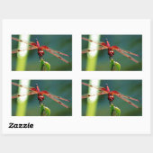 Sticker Rectangulaire Dragonfly frontale rouge et noire (Feuille)