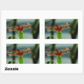 Sticker Rectangulaire Dragonfly rouge et noire tachetée (Feuille)