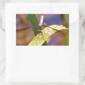 Sticker Rectangulaire Dragonfly sur la feuille de pluie (Sac)