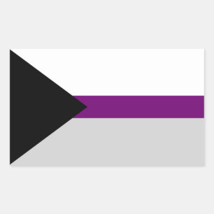 Sticker Rectangulaire Drapeau de Demisexual