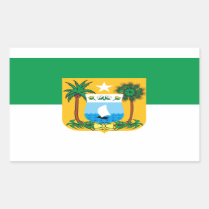 Sticker Rectangulaire Drapeau du Rio Grande du Nord Brésil