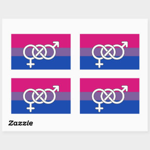 Sticker Rectangulaire Drapeau du symbole de la fierté bisexuelle