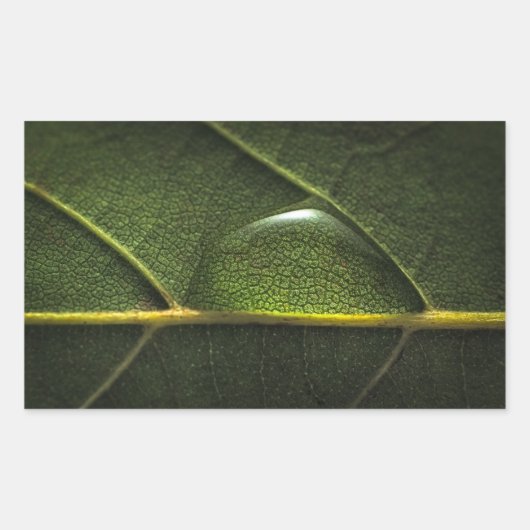 Sticker Rectangulaire Droplets feuille (Devant)