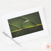 Sticker Rectangulaire Droplets feuille (Enveloppe)