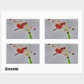 STICKER RECTANGULAIRE DSC00029.JPG (Feuille)