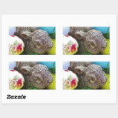 STICKER RECTANGULAIRE DSCF0438.JPG (Feuille)