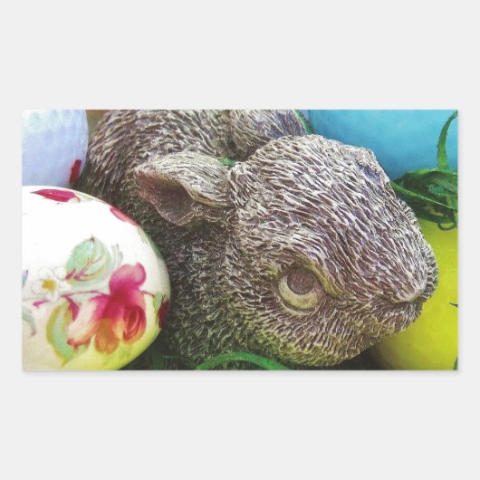 STICKER RECTANGULAIRE DSCF0438.JPG (Devant)