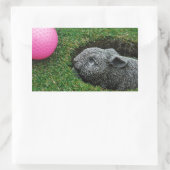 STICKER RECTANGULAIRE DSCF0652.JPG (Sac)