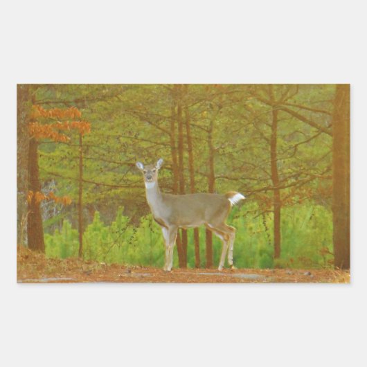 STICKER RECTANGULAIRE DSCF4041.JPG (Devant)