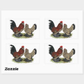 Sticker Rectangulaire D'Uccle Bantams : Mille Fleur (Feuille)