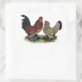 Sticker Rectangulaire D'Uccle Bantams : Mille Fleur (Sac)