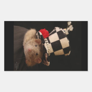 Sticker Rectangulaire Dumbo Fancy Rat dans un casquette mignon