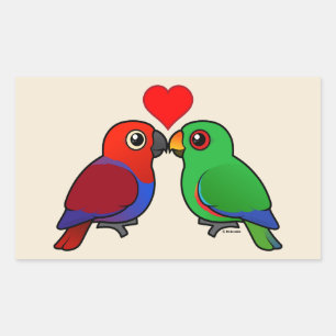 Sticker Rectangulaire Eclectus Parrots en amour