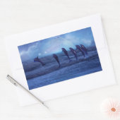 Sticker Rectangulaire École des dauphins au clair de lune (Enveloppe)