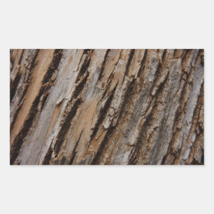 Sticker Rectangulaire Écorce d'arbre I Dessin texturé abstrait naturel