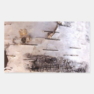Sticker Rectangulaire Écorce de bouleau