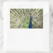Sticker Rectangulaire Écran Peacock (Sac)