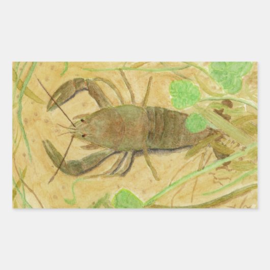 Sticker Rectangulaire Écrepoisson (Devant)